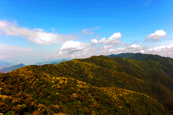 雲南靈寶山國家森林公園