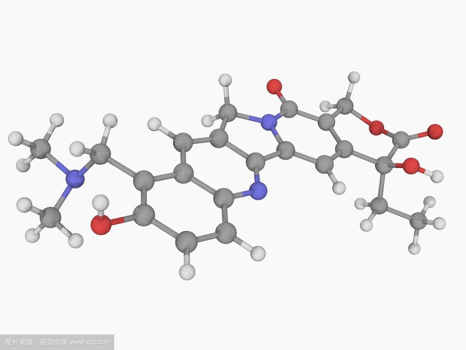 拓撲分子格