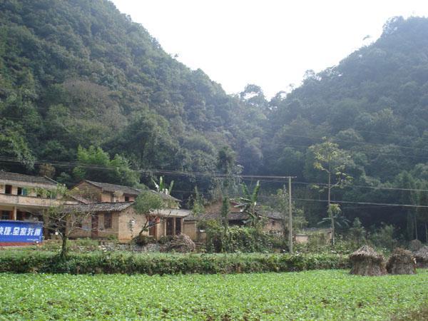 魚布那村