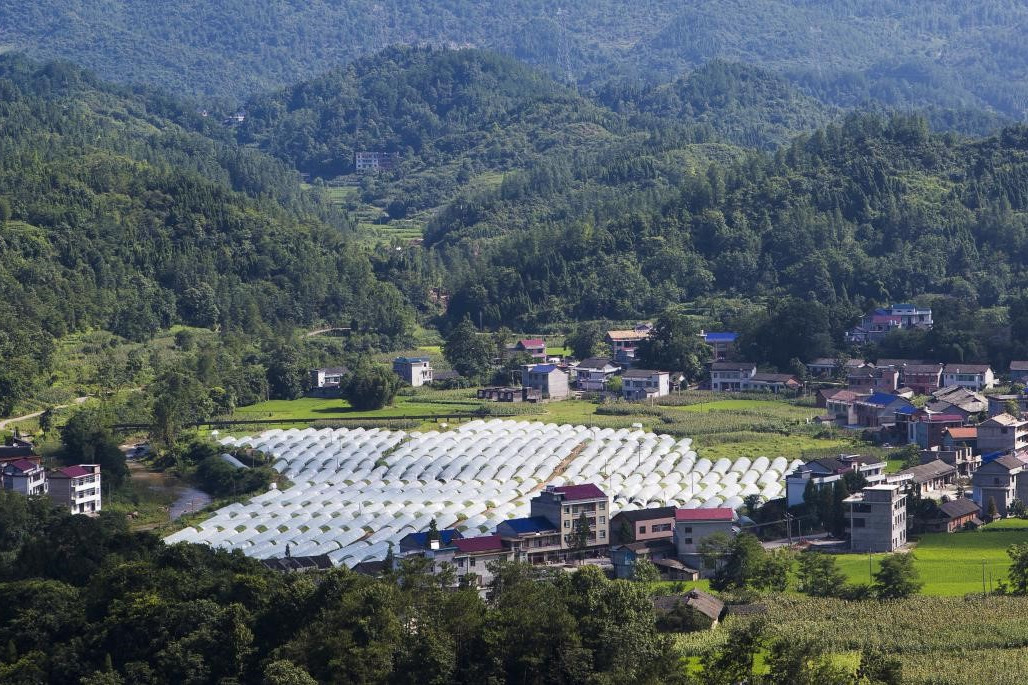 後東旺坪村