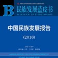 中國民族發展報告(2016)