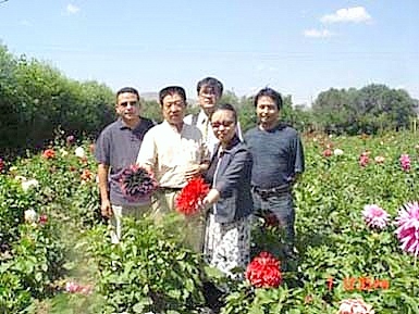 蘭州中川芍藥園