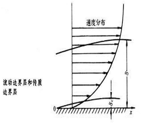 濃度界層