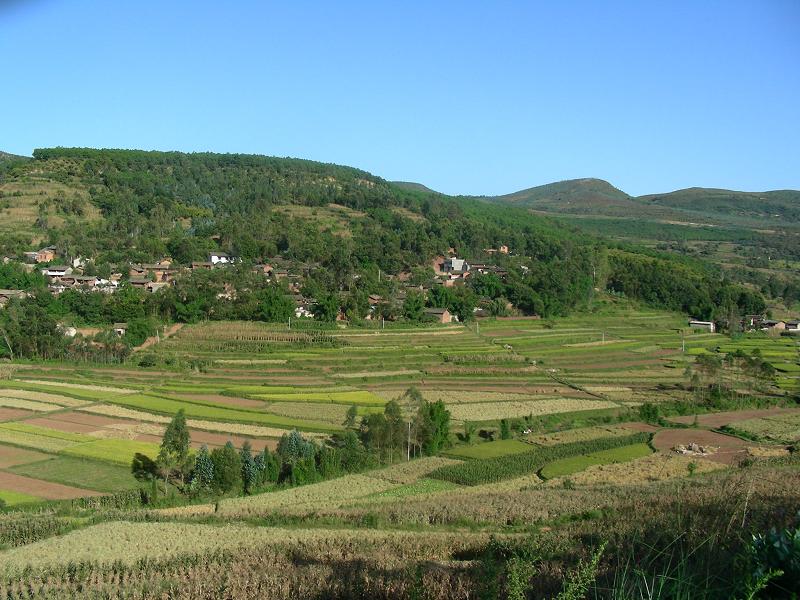 石溪村(浙江省青田縣石溪鄉轄村)