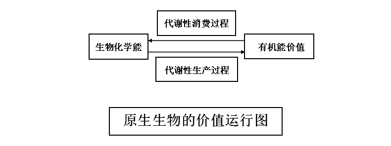 原生趨性情感