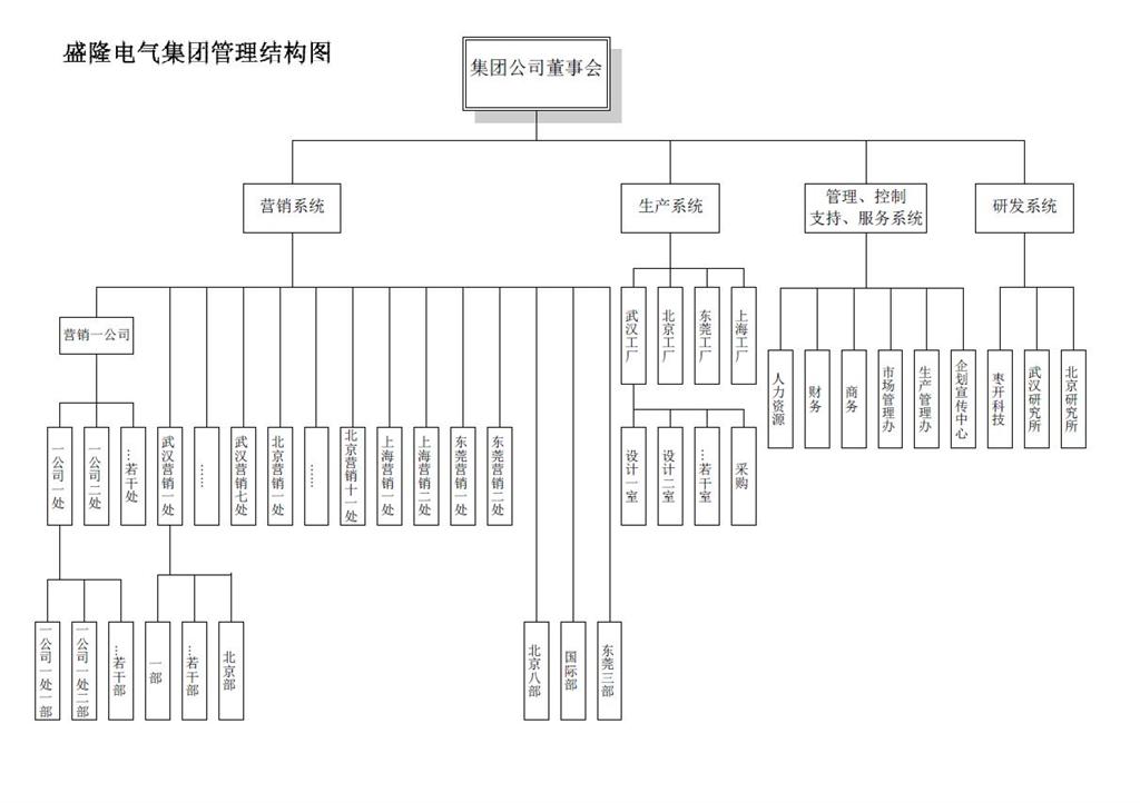 盛隆電氣集團管理結構圖