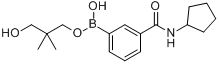 3-（環戊基甲醯氨）苯基硼酸，新戊二醇酯