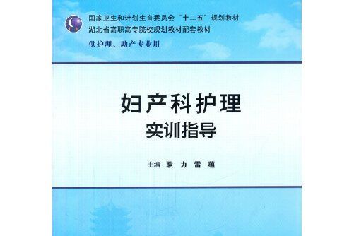 婦產科護理實訓指導(2015年人民衛生出版社出版的圖書)