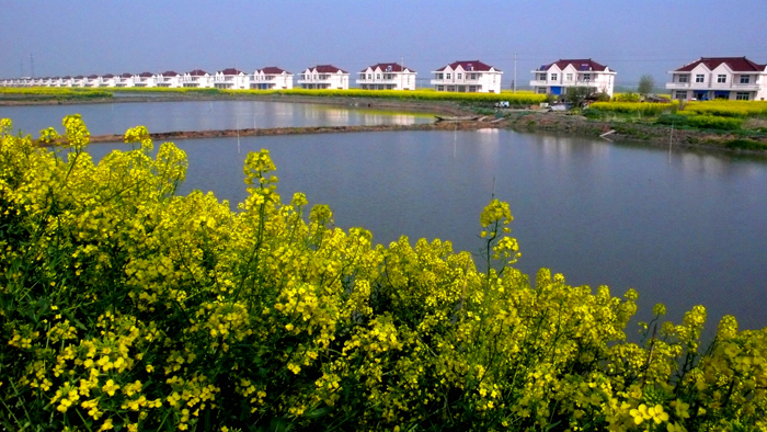 東旺村(江蘇常熟市辛莊鎮下轄村)