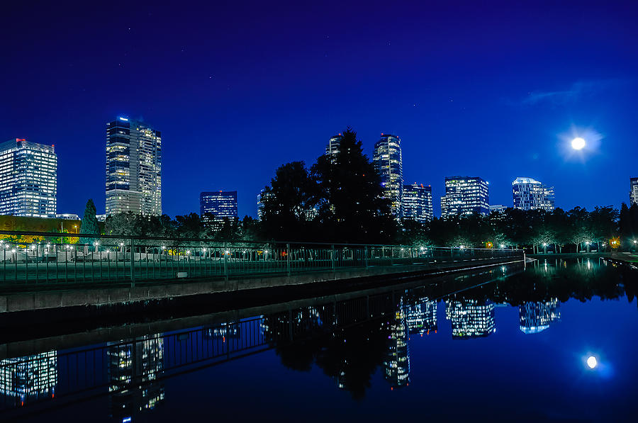 貝爾維尤夜景