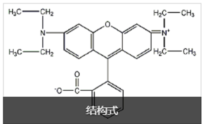 羅丹明B鹼性