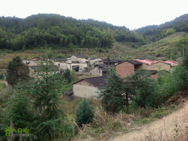 上進村(雲南省西雙版納勐海縣勐海鎮下轄村)