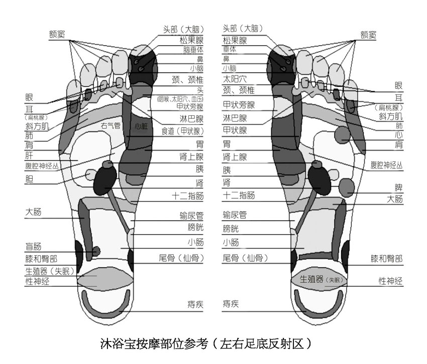 沐浴寶按摩部位參考