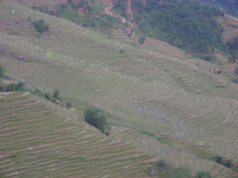 和平自然村