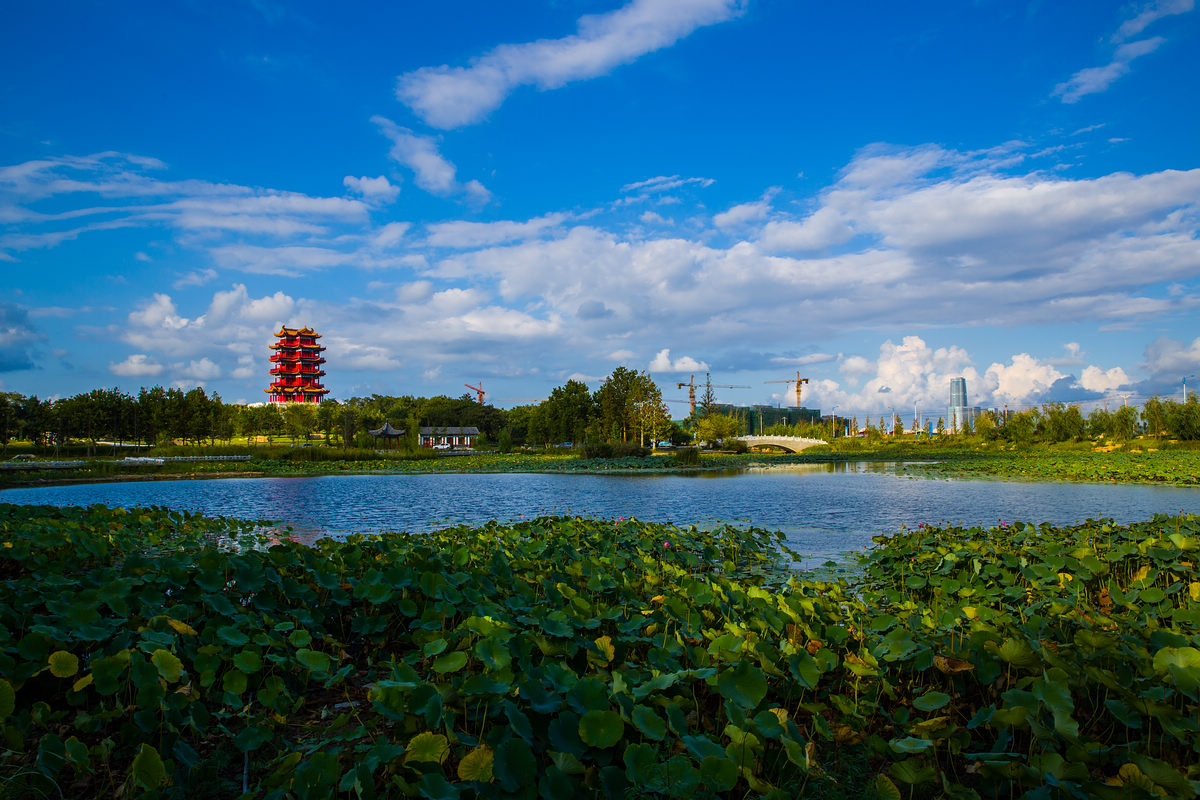 山東牟平沁水河口國家濕地公園