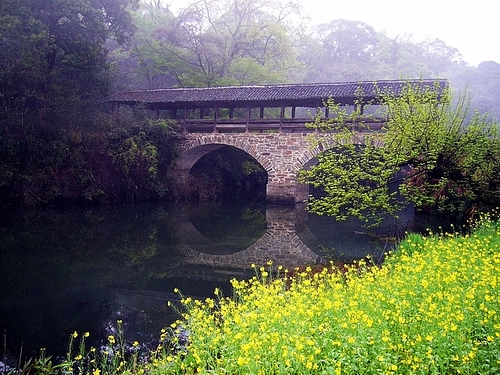 游汀九間亭