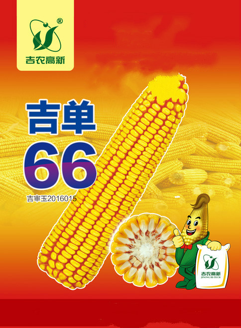 吉單66