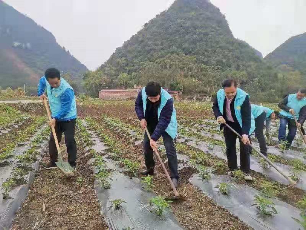 松柏村(廣西來賓市興賓區良江鎮下轄村)