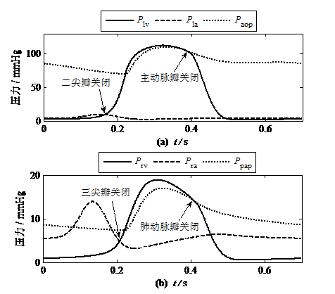 心音與心臟血流動力