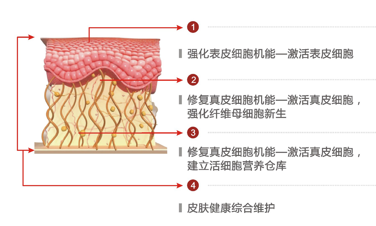 瑞士蒂凡妮