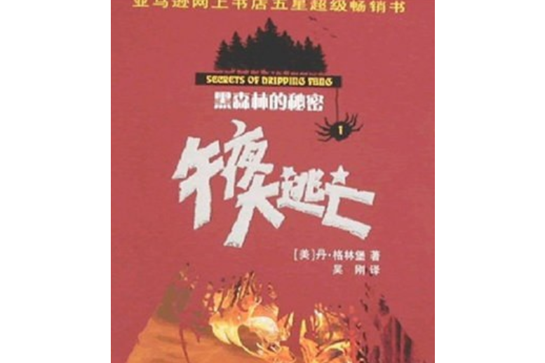 午夜大逃亡(2008年少年兒童出版社出版的圖書)