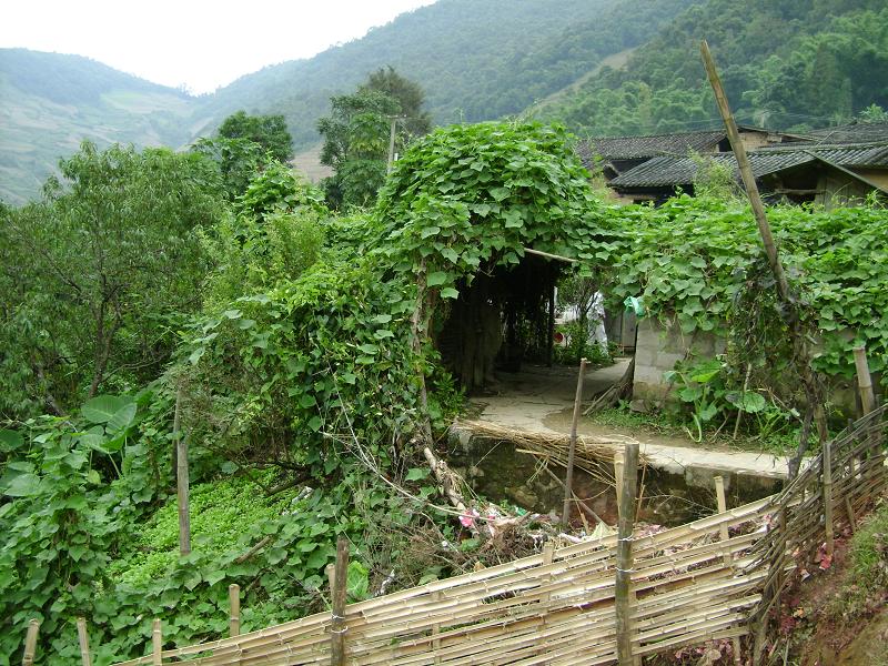 土嘎村(紅河州綠春縣牛孔行政村下轄村)