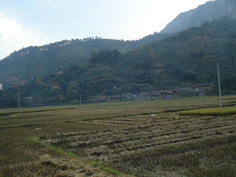 下平寨村