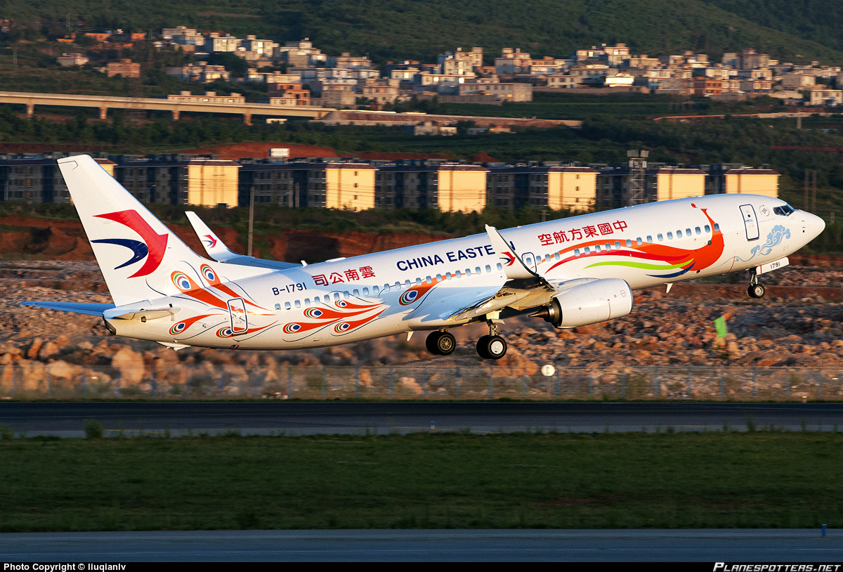 東航雲南B737-800（橙孔雀彩繪）客機