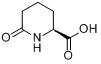 (S)-2-哌啶酮-6-羧基酸