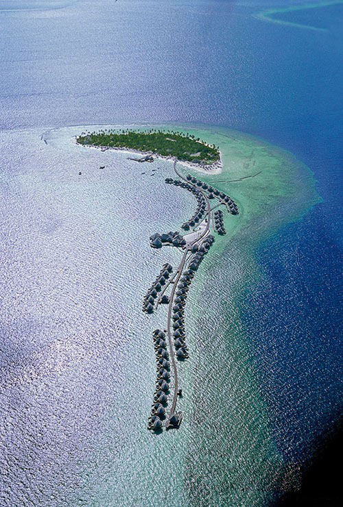 哈拉薇莉島