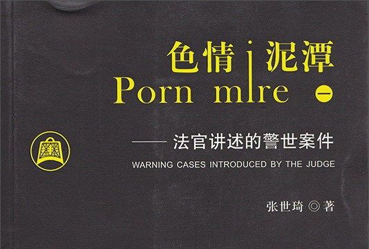 色情泥潭1：法官講述的警世案件