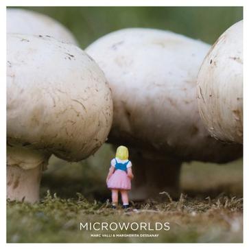 MicroWorlds