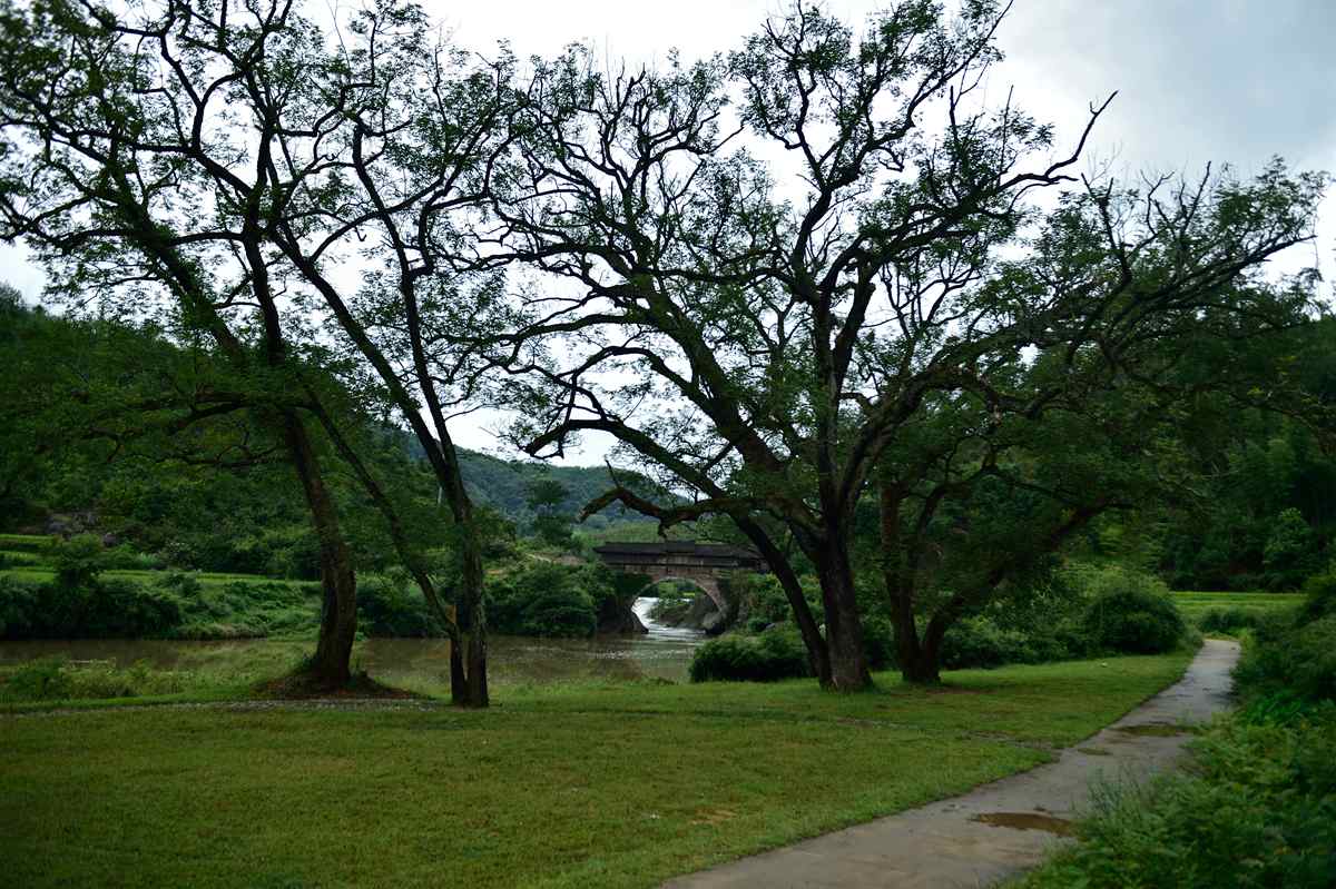 蛟潭橋