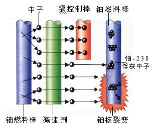 中子吸收劑