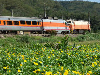 E1000型推拉式電車組