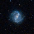 NGC 2441