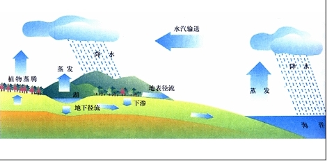 水循環