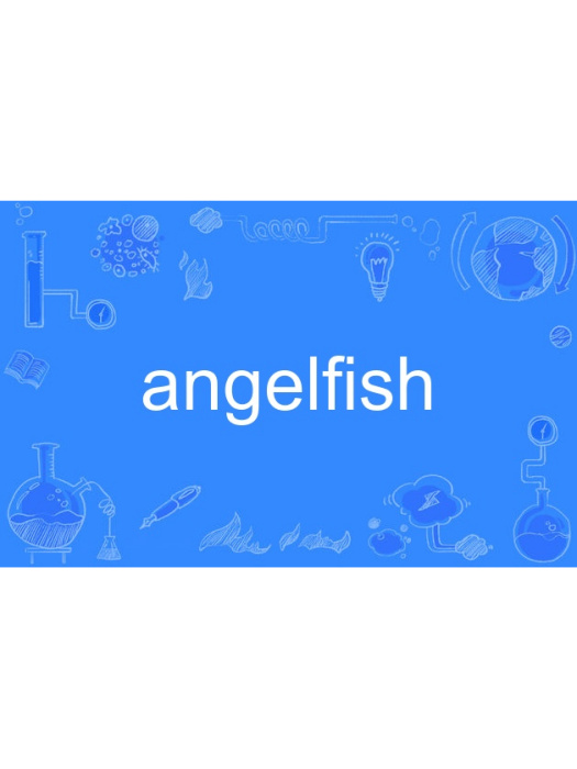 angelfish