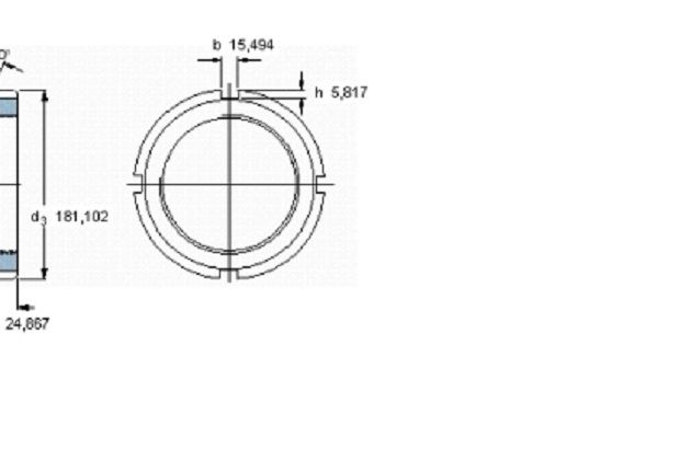 SKF N030軸承