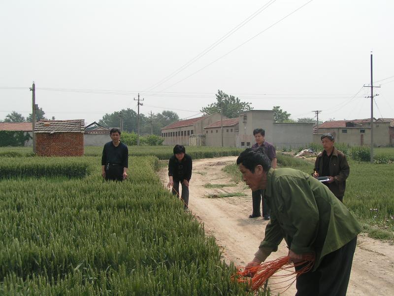 寧家埠鎮