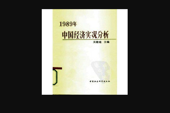 1989年中國經濟實況分析