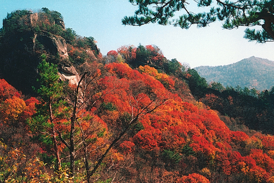 吉林五女峰國家森林公園