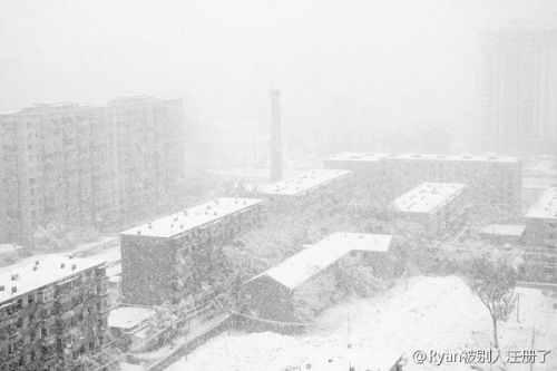 鵝毛大雪