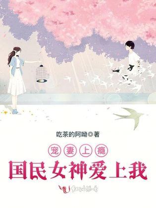 寵妻上癮，國民女神愛上我