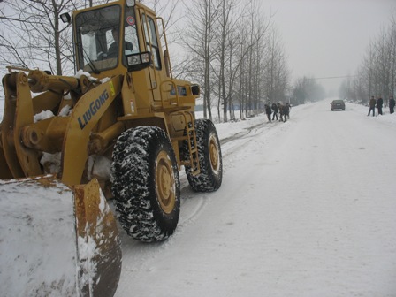 凍雪(圖2)