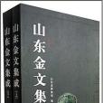 山東金文集成(2007年山東齊魯書社出版的圖書)