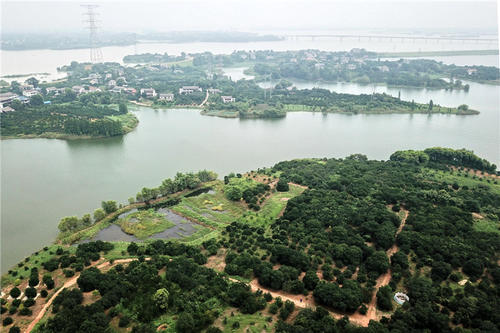 湖南瓊湖國家濕地公園