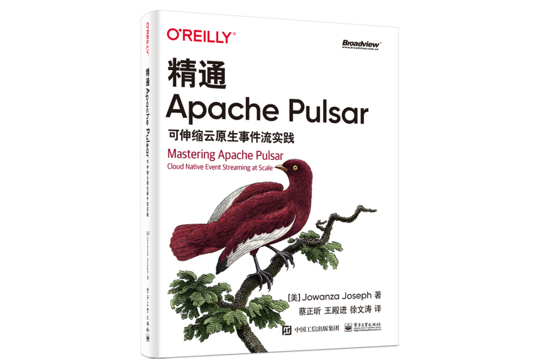 精通Apache Pulsar：可伸縮雲原生事件流實踐