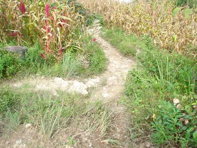 達本自然村發展重點－進村道路