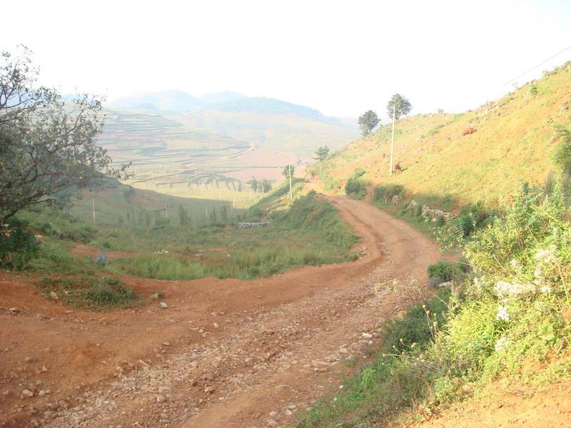 魯姑母村進村道路